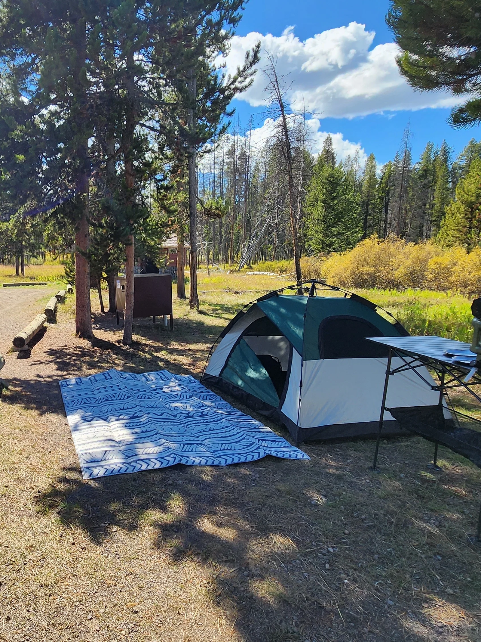 Is camping free in America?