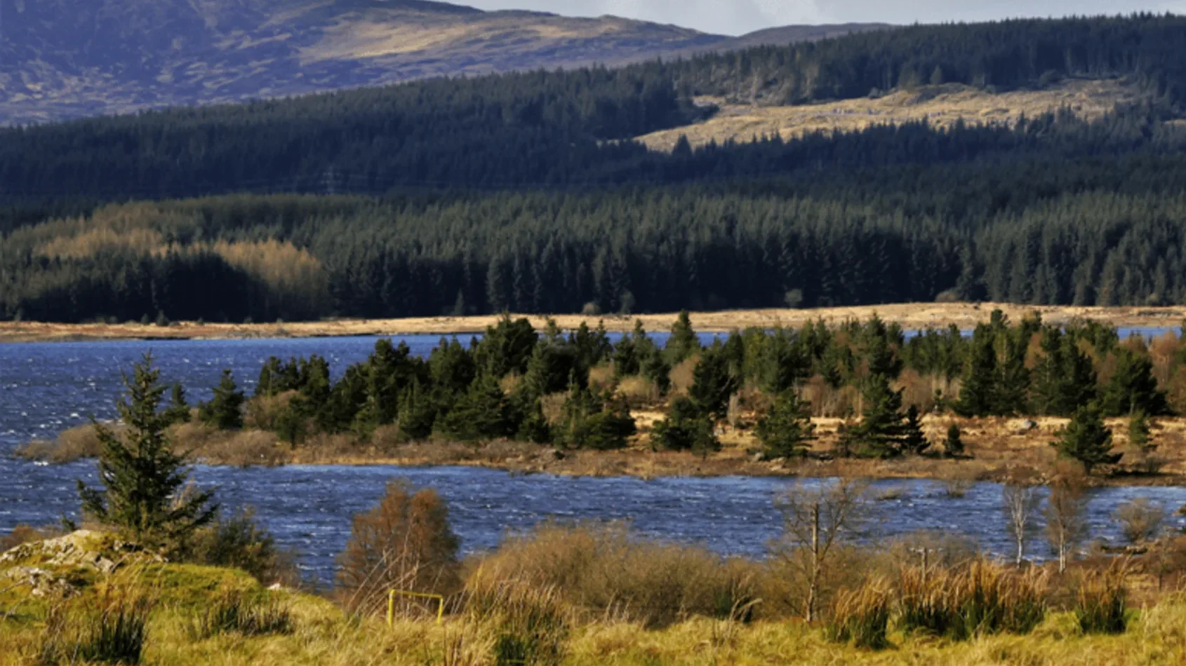 Why is Galloway Forest Park so famous? 