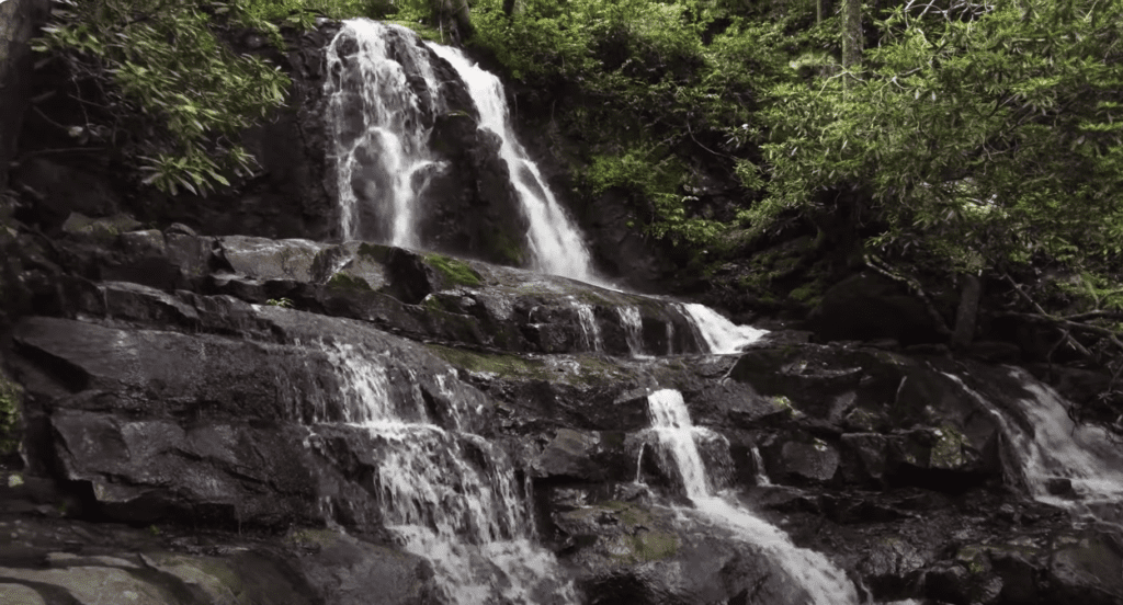 Abrams Falls Trail