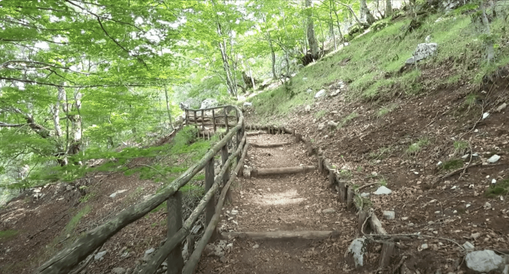 Appalachian Trail